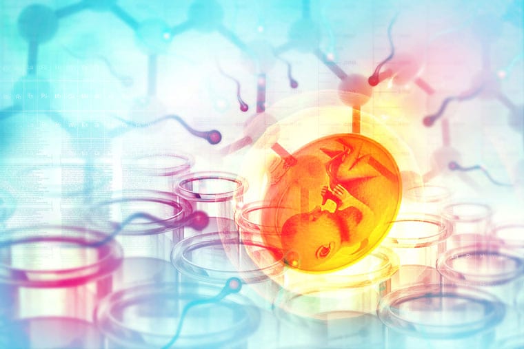 בדיקת סיסי שליה