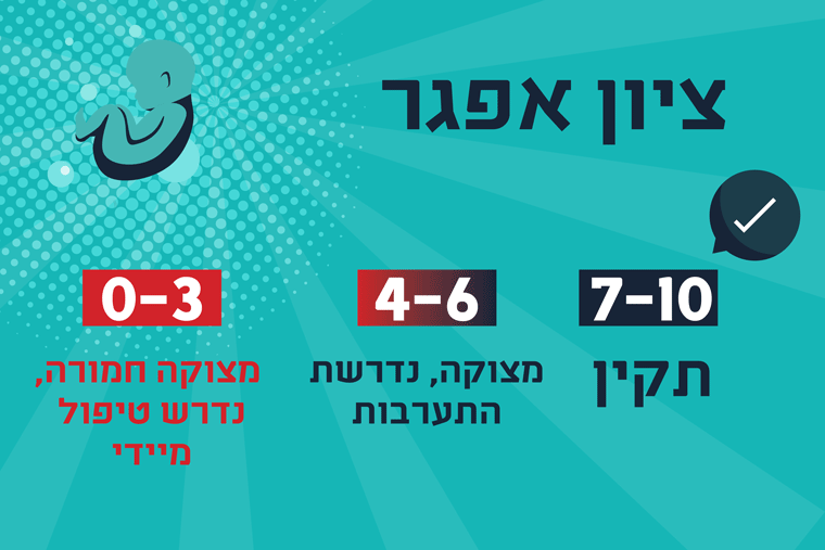 ציוני אפגר אינפוגרפיקה