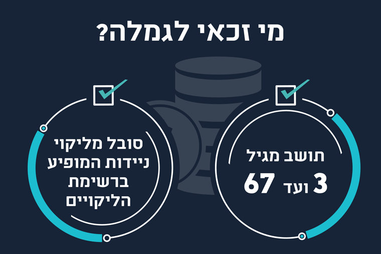 גמלת ניידות אינפוגרפיקה