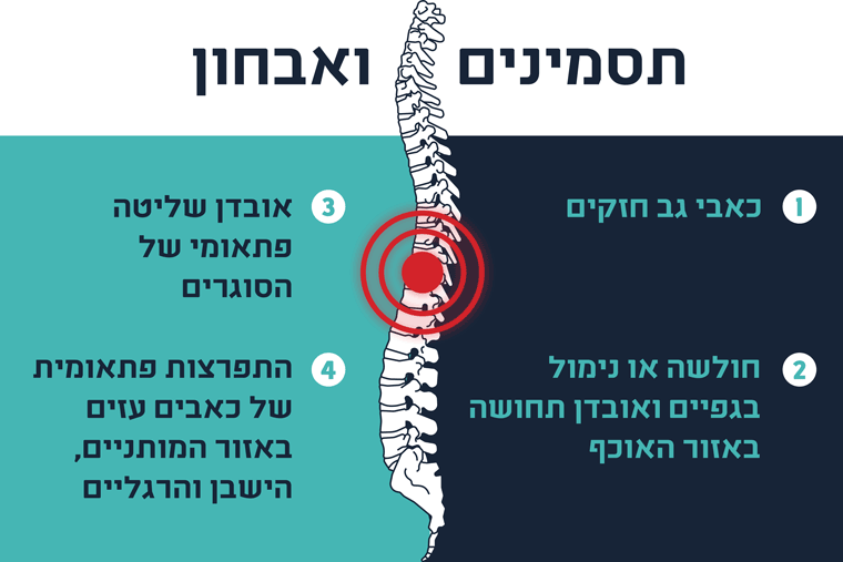 תסמיני תסמונת זנב סוס