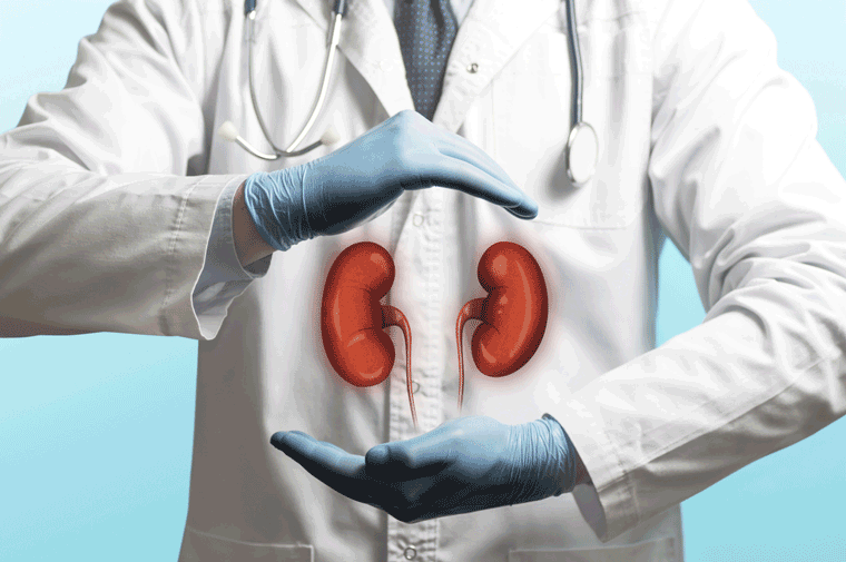 רשלנות נפרולוגיה